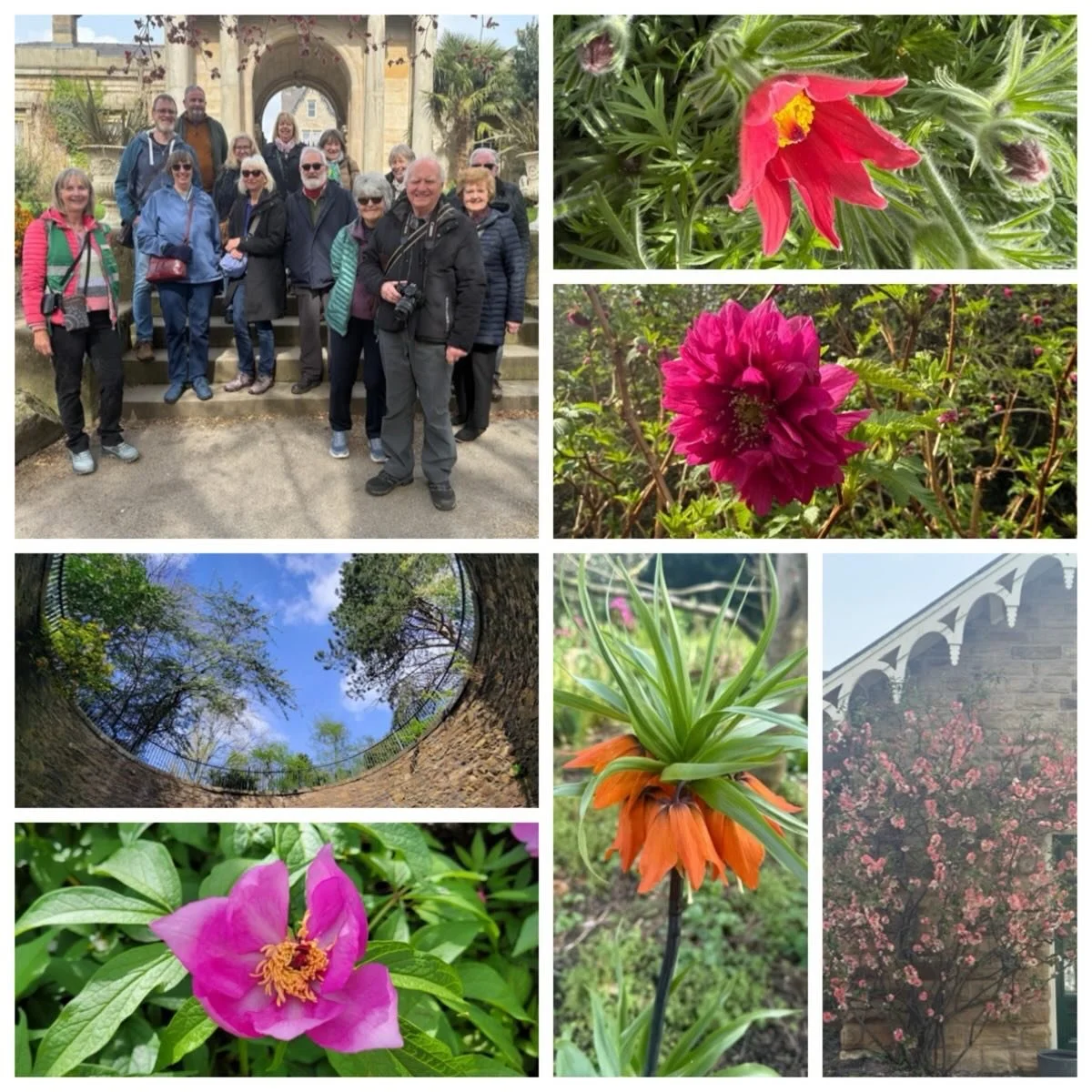 The Hardy Plant Society booked a tour of the #sheffieldbotanicalgardens last week and were blessed with a glorious sunny day for their visit which looked at some of the plants flourishing in March and April.

Some tour highlights included:

* the Cha