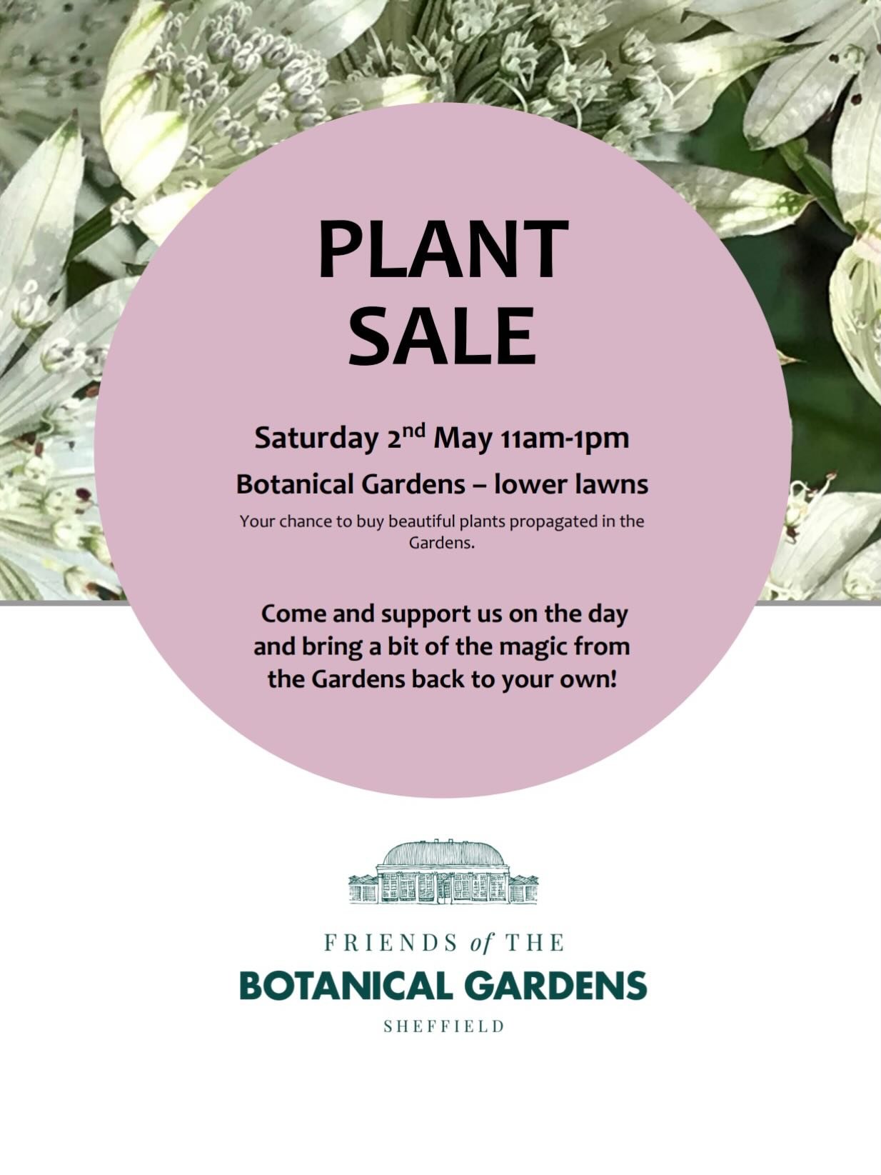 Lots to enjoy at #sheffieldbotanicalgardens this Bank Holiday weekend:

* Saturday 11.00am - 1.00pm Plant Sale on the Lower Lawns - please bring your own bags; we hope to take card payments but cash always welcome

* Saturday - Monday 10.00am - 5.00p