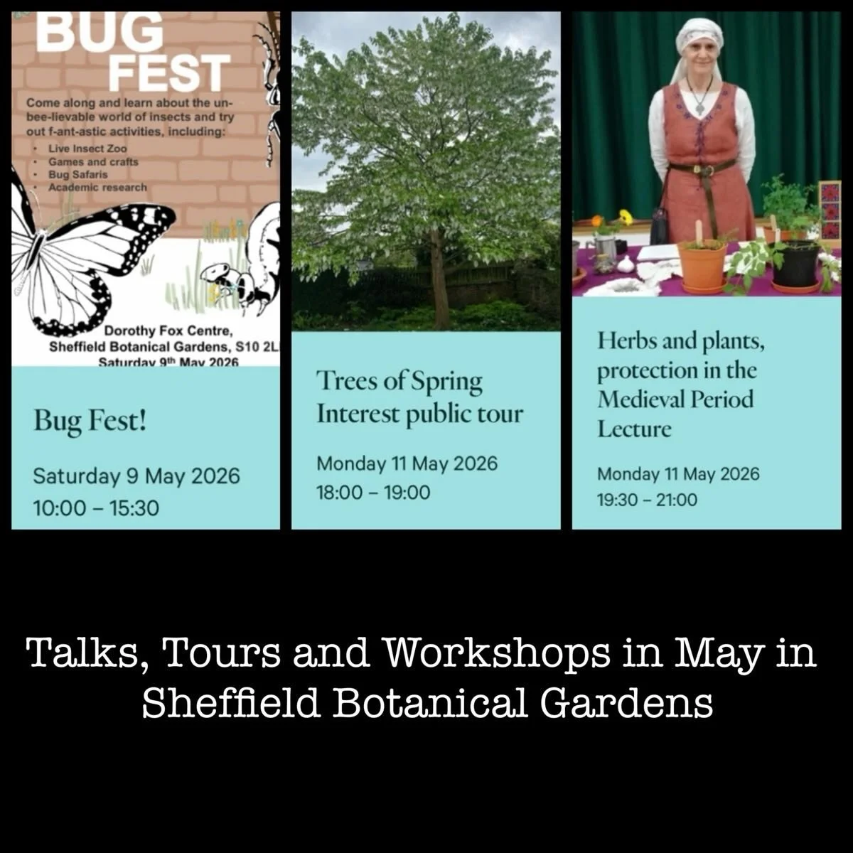 Lots of Talks, Tours and Workshops coming up in May in #sheffieldbotanicalgardens

More information and bookings at: https://www.sbg.org.uk/whats-on
.
.
.
.
#gardentalks #gardentours #bugworkshop #animalillustration