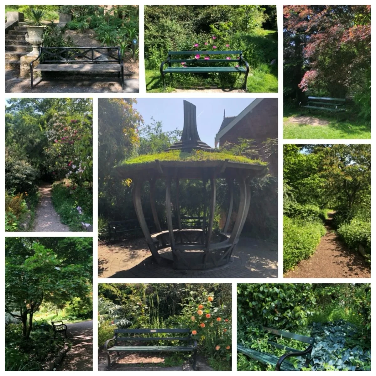 Choose your spot - enjoy the sun or shade - there&rsquo;s plenty of choice to sit and watch the world go by in #sheffieldbotanicalgardens&hellip;&hellip;
.
.
.
.
.
.
#shadeinthesummer #summer #watchingtheworldgoby #enjoyingthegarden