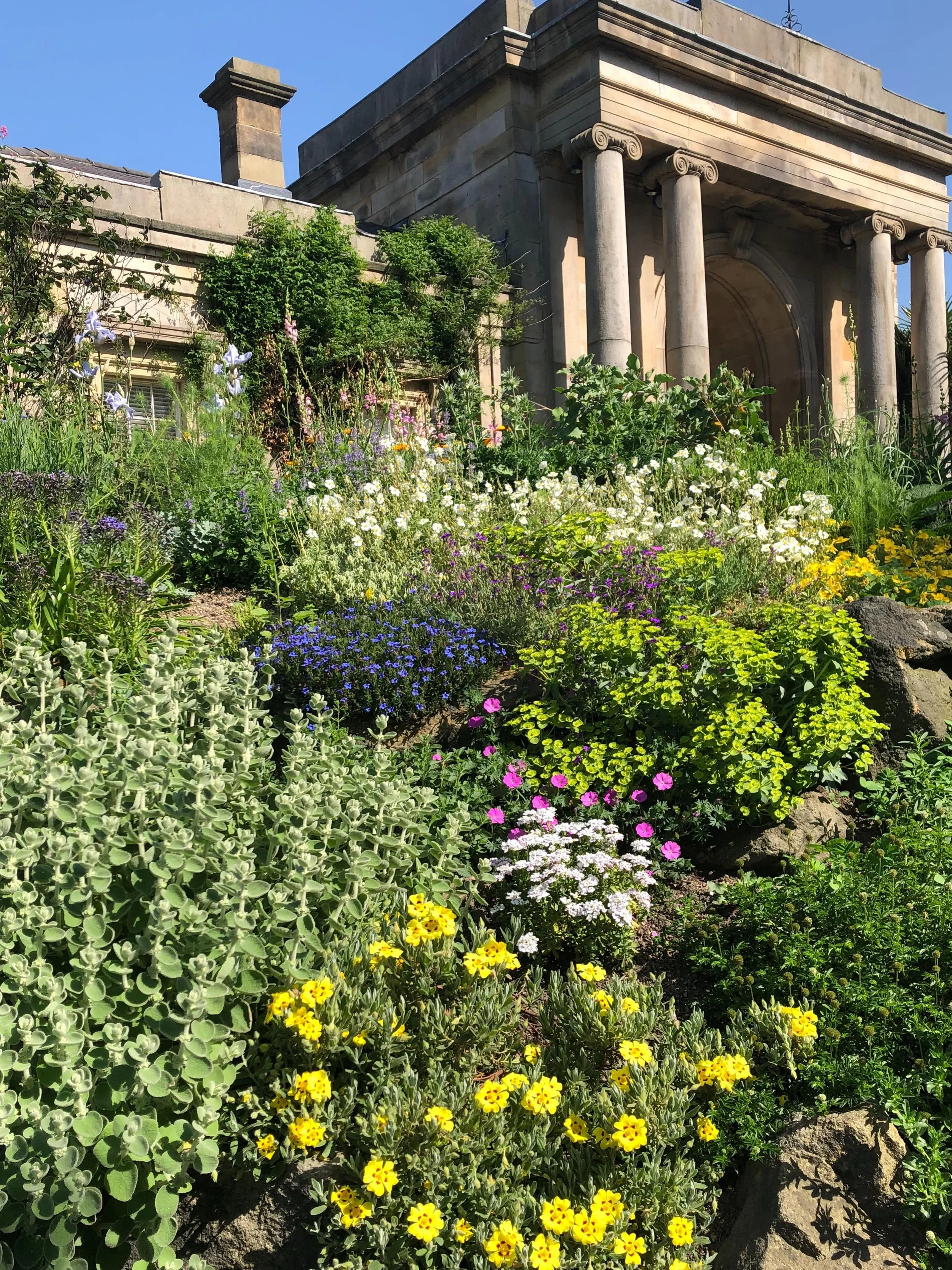 The Mediterranean border just inside the main entrance to #sheffieldbotanicalgardens looking very lush and colourful in the sunshine last week

What a difference from 2 years ago&hellip;&hellip;.

Trish and Peter Kohn (@sheffbotprop) have done a lot 