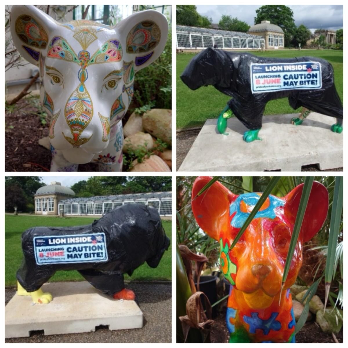 Look out for the lions &hellip;&hellip;&hellip;

Launching on Monday we look forward to welcoming several of the @prideofyorkshiretrail lions and cubs to #sheffieldbotanicalgardens when Pride of Yorkshire launches in support of @sheffchildrenshospita