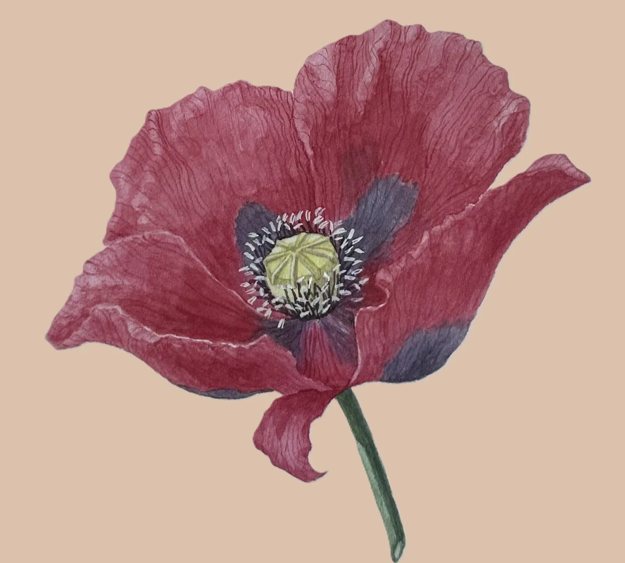 Powerful Plants - the Plants which Changed the World
