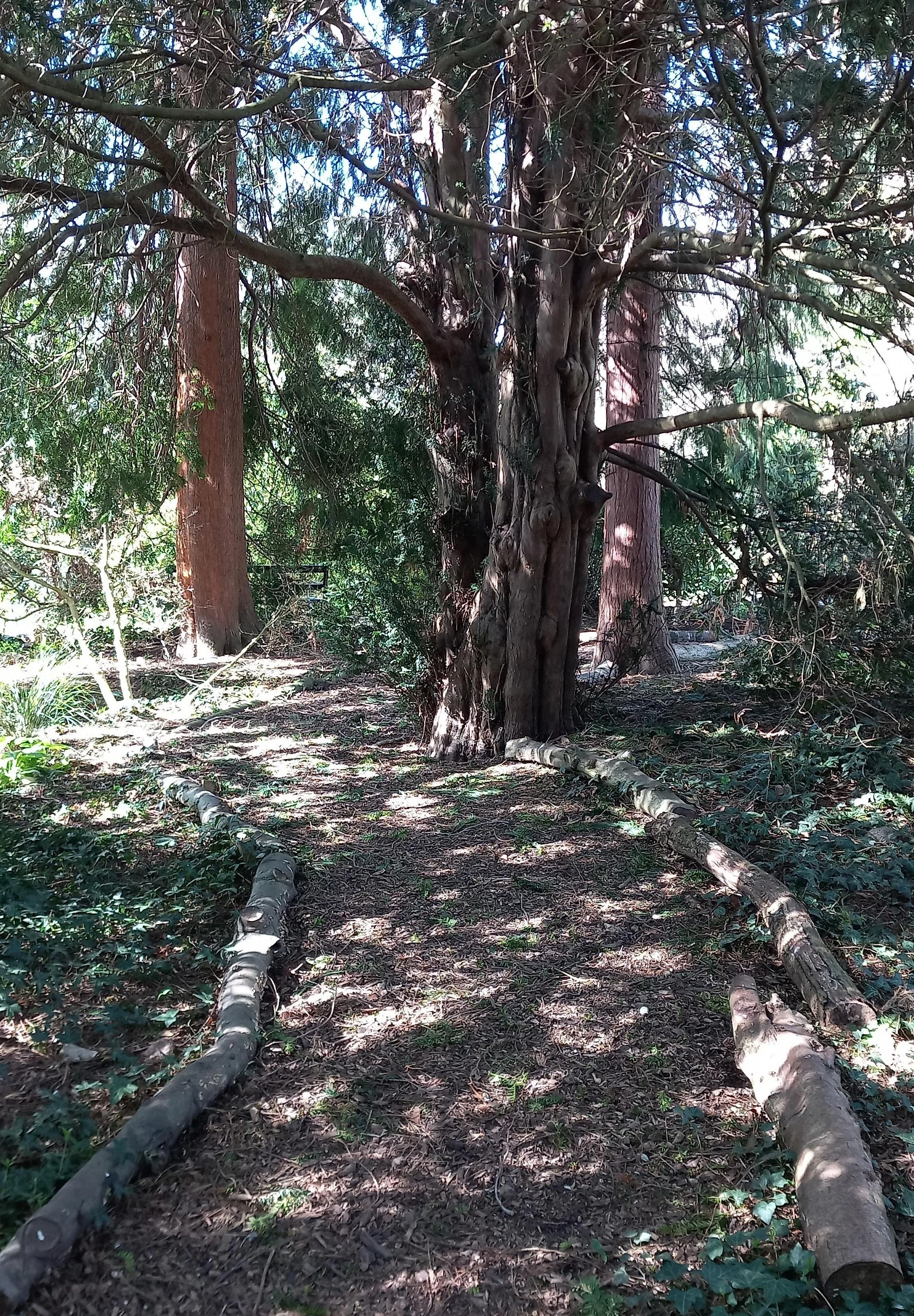 Hidden Pathways Public Tour