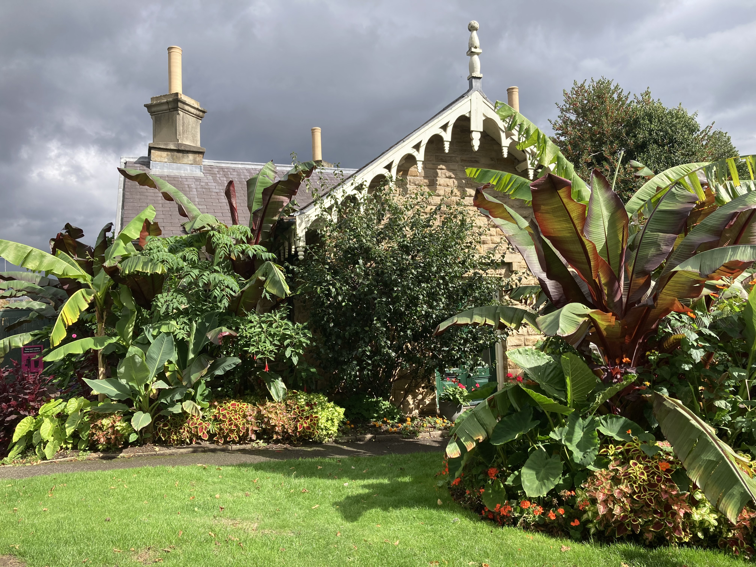 Summer planting at the South Lodge, September 2026, by Jill Sinclair