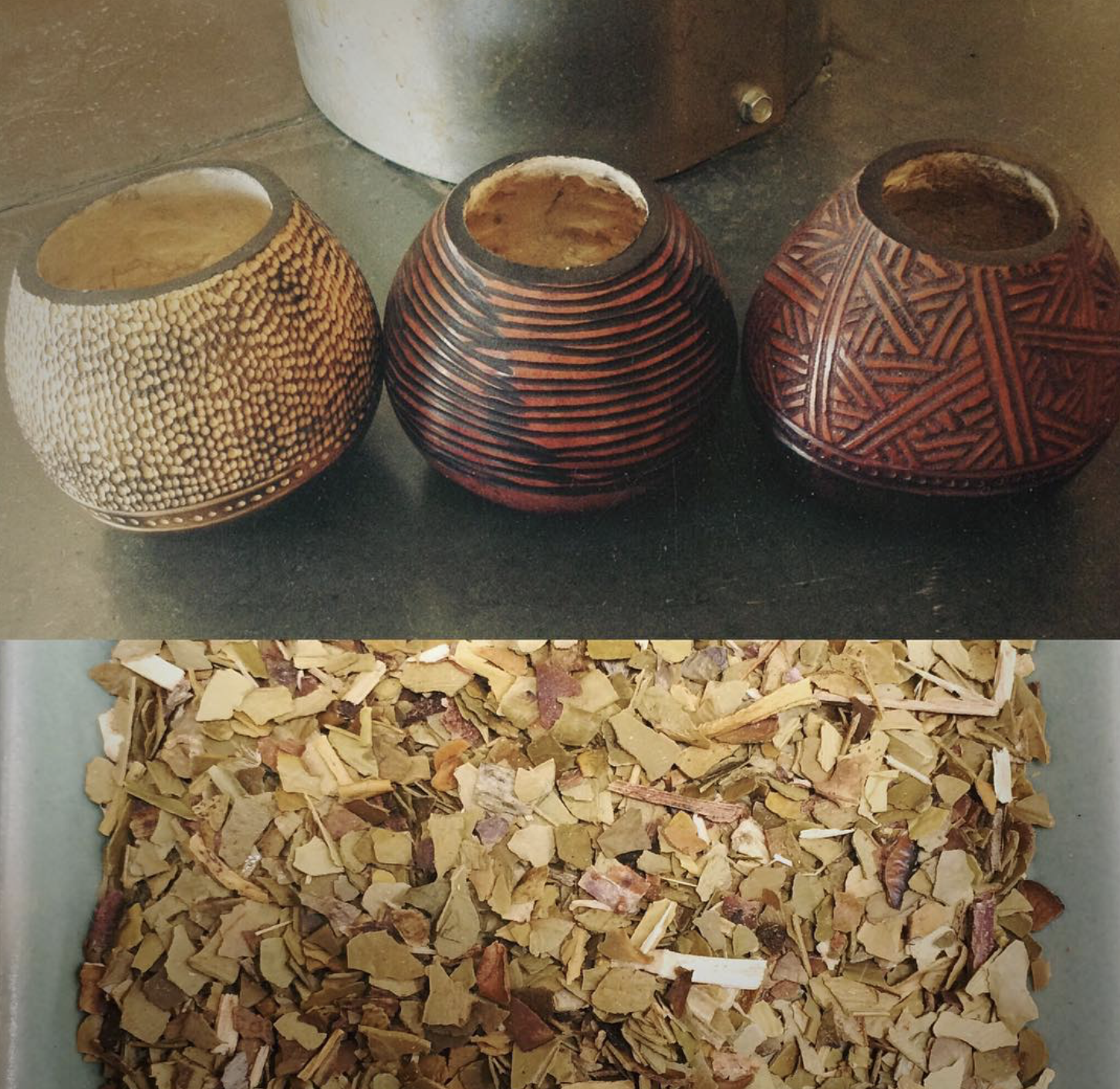 Yerba Mate Product Image.png