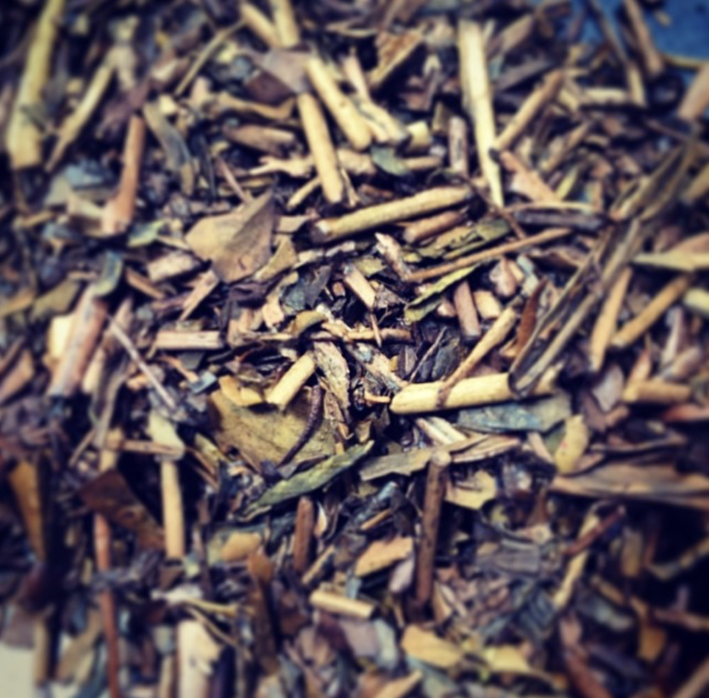 Hojicha Product Image 2.png