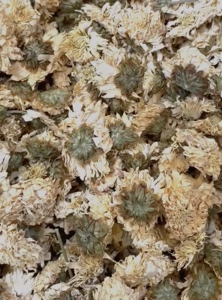 Screenshot 2026-04-23 at 1.46.05 PM.png