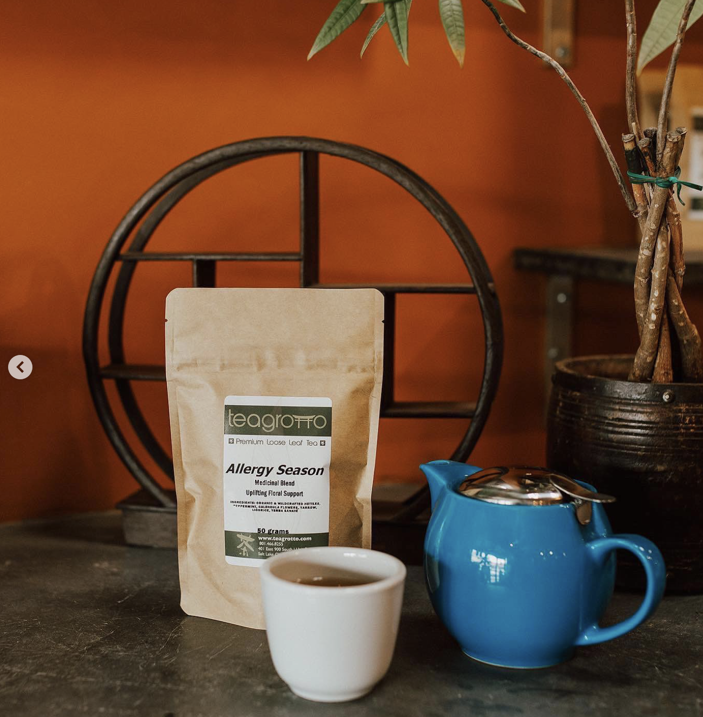 Allergy Season Product Image 3.png