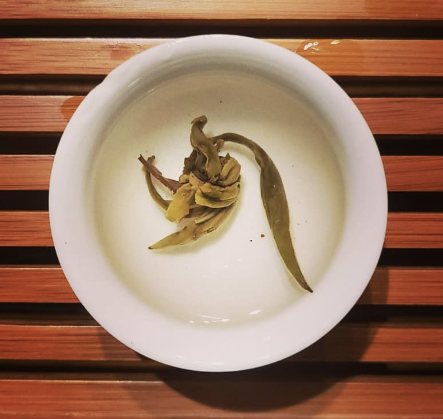 Jasmin Green Product Image.png