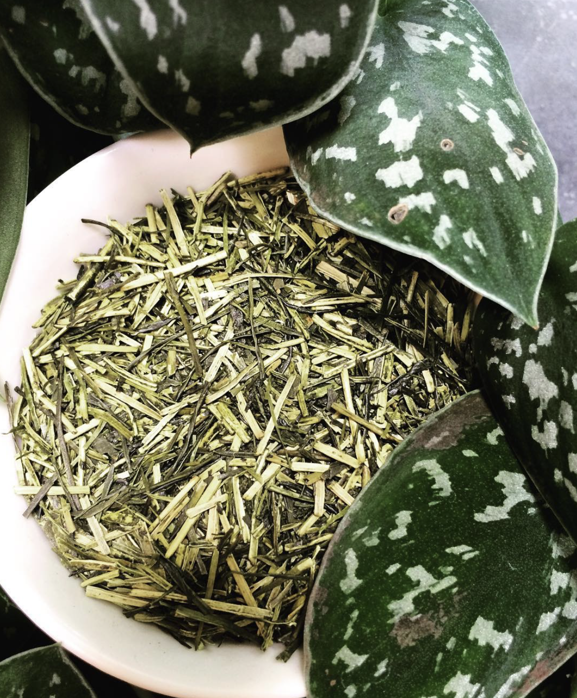 Kukicha Product Image.png