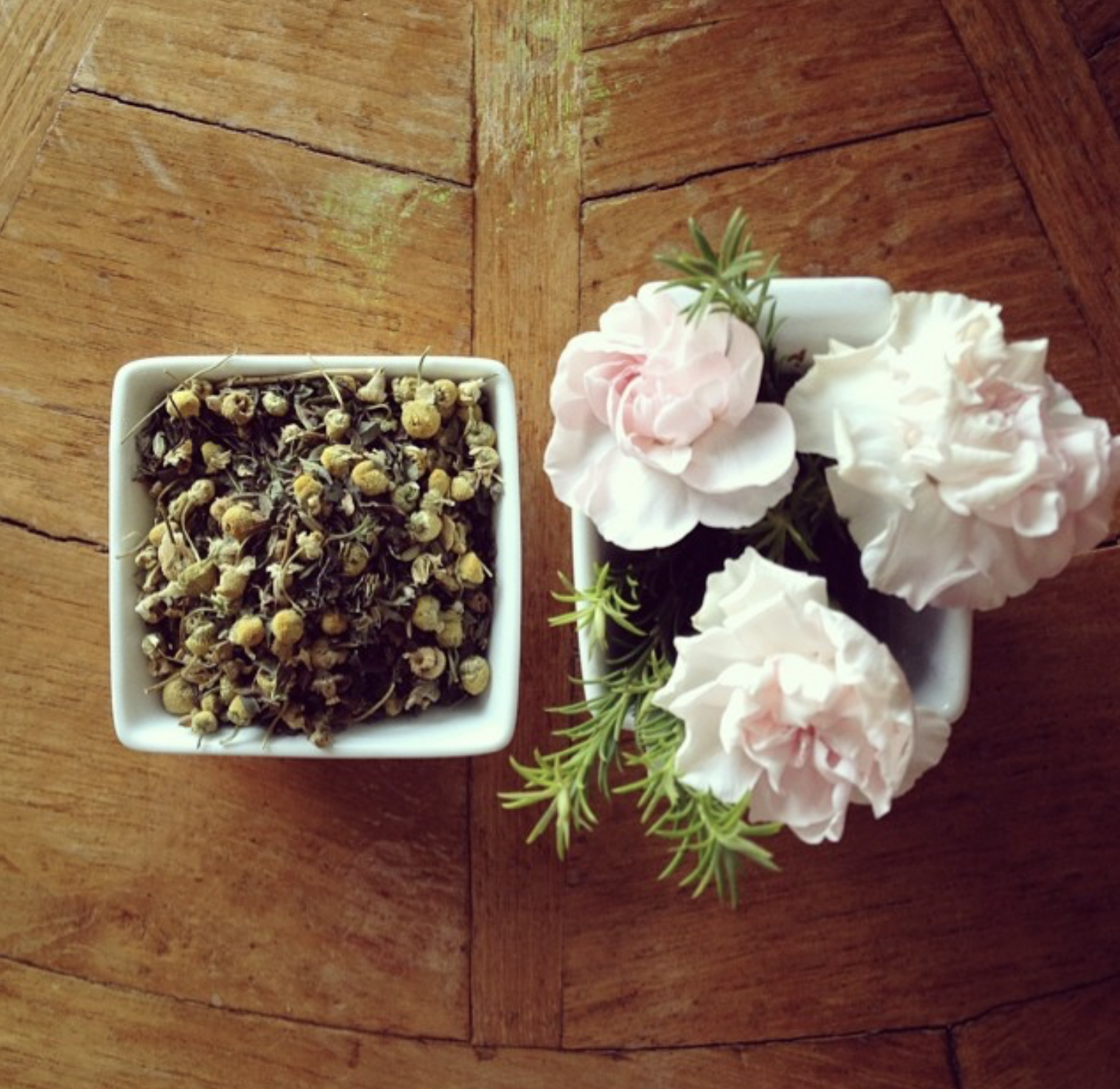 Digestive Product Image.png