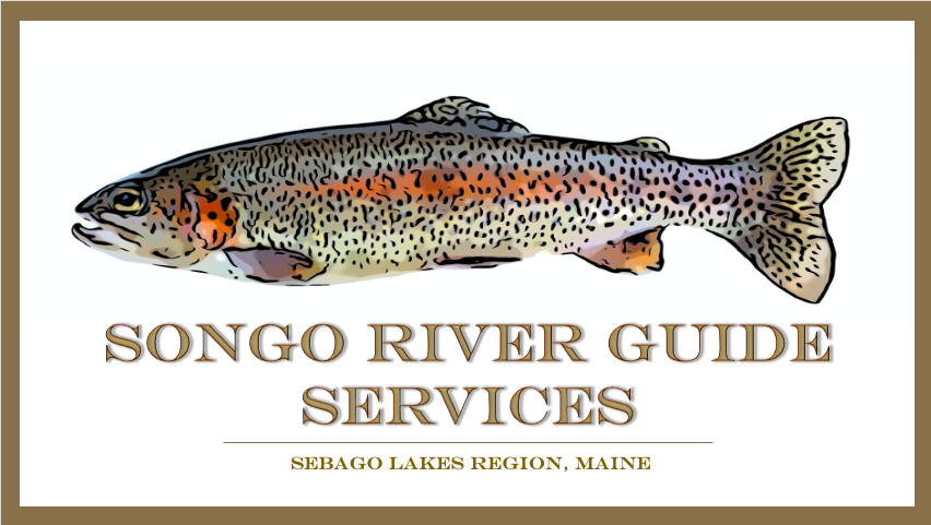 Songo River Guide Services