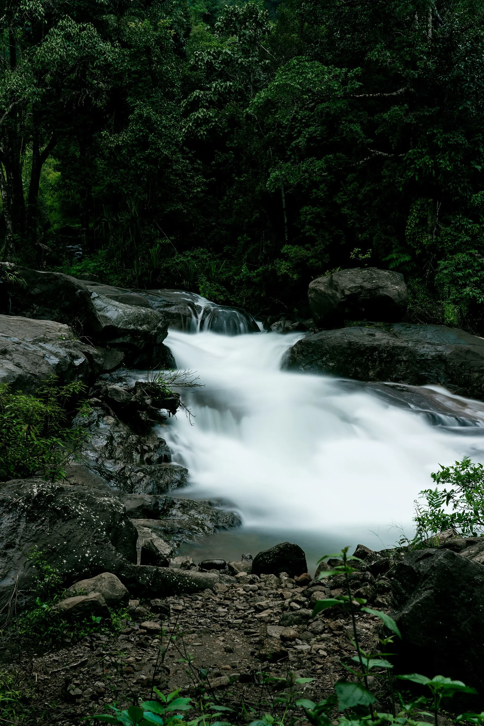 Wayanad | Kerala, India