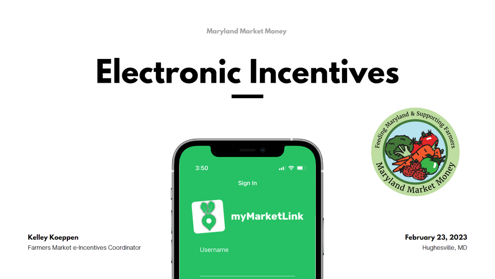 Introduction to e-Incentives