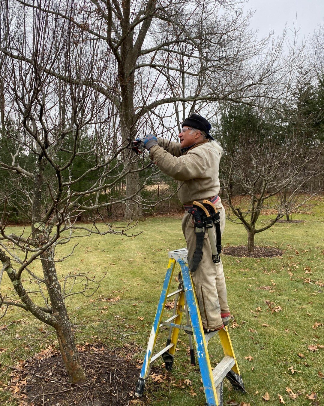 Today is National Farm Workers Day and we're paying tribute to all those who help us on our farm. ​​​​​​​​​
A few weeks back, local arborist Frank Mastropaolo helped us prune our trees into shape and prepare them for another year of growth. From prun