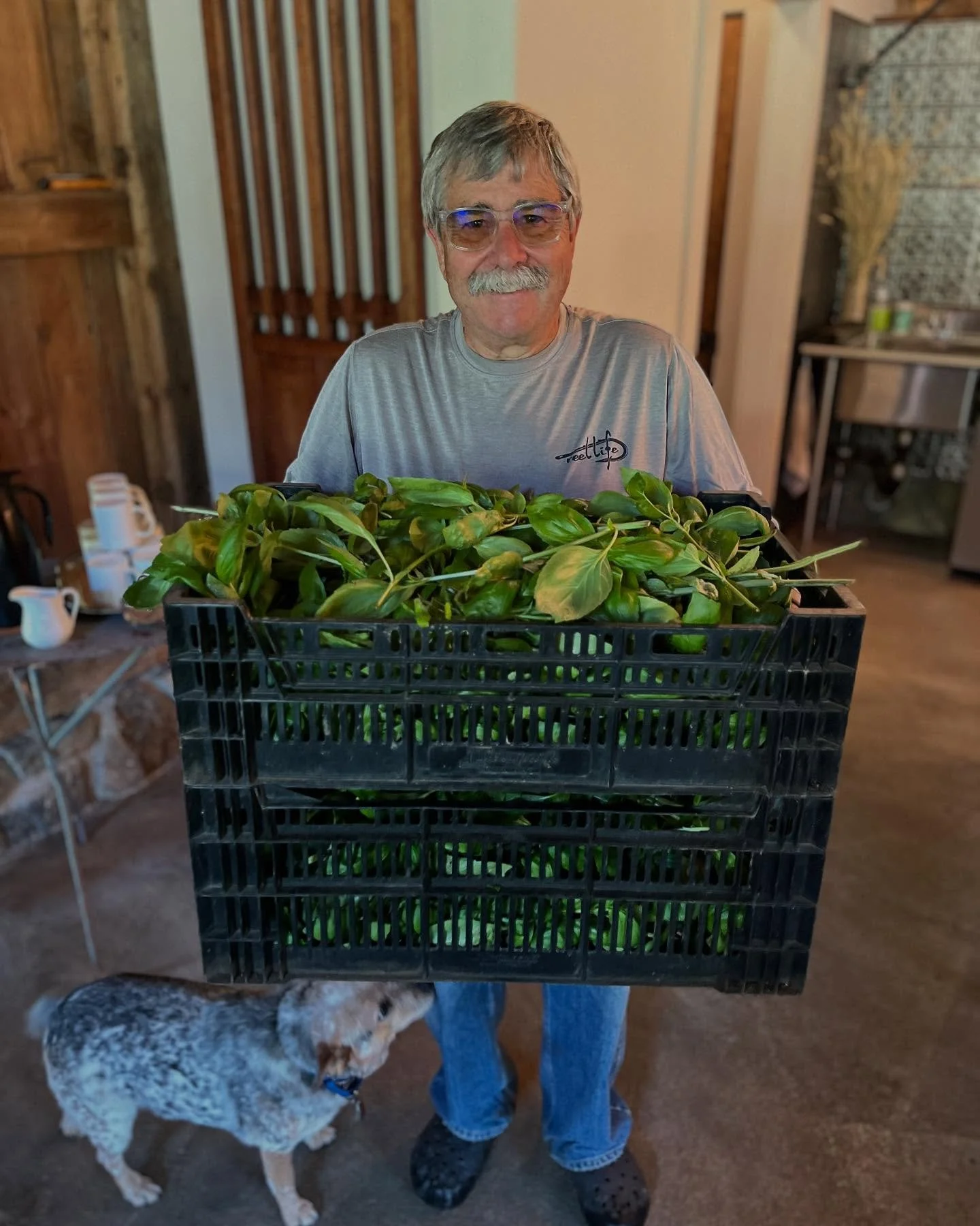 It&rsquo;s been a busy season, full of harvests and projects, each week supported by a dedicated group of volunteers, and it&rsquo;s not over yet! 

There is something special about those who choose to help others, and we couldn&rsquo;t do it without