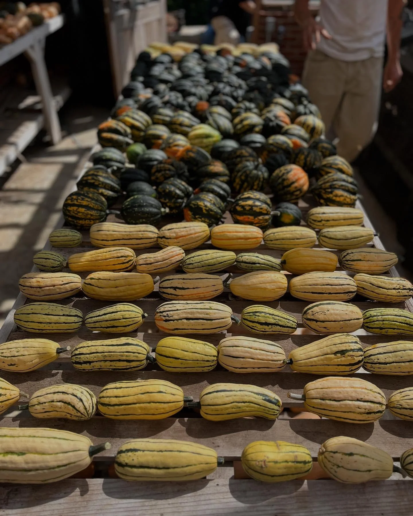 Tomorrow&rsquo;s Pop-Up Market, Friday, September 26th, from 9am to noon, will feature our Organic Produce, Flowers, Eggs, Baked Goods and Prepared Foods. 

While you are with us on the Farm, tour our Market Garden, catch up with friends and neighbor