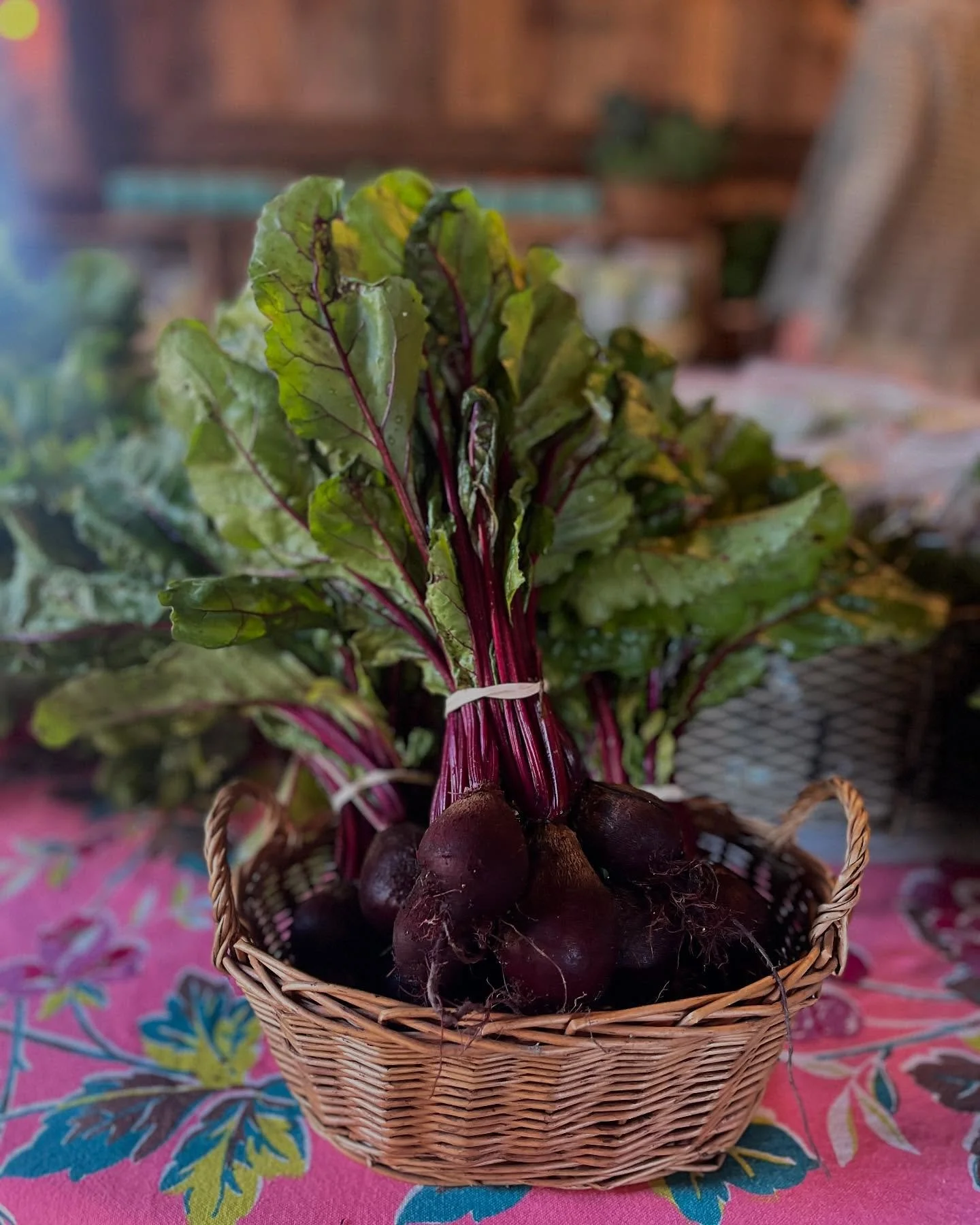 THREE MARKETS TO GO!! Tomorrow&rsquo;s Pop-Up Market, Friday, October 24th, from 9 am to Noon, will feature our organic produce, eggs, prepared foods, and baked goods. 

While you are with us on the Farm, tour our Market Garden, catch up with friends