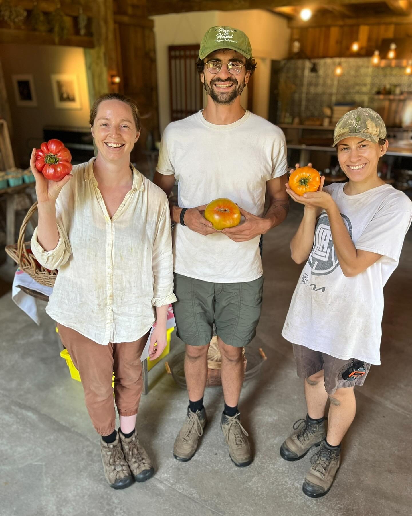 We&rsquo;re looking for a full-time Co-Manager to join us at Stonewood Farm in Millbrook, NY. 

Our current manager, Lex Kohler, will continue leading the farm, and we&rsquo;re hoping to find someone who can work alongside him to help carry the visio