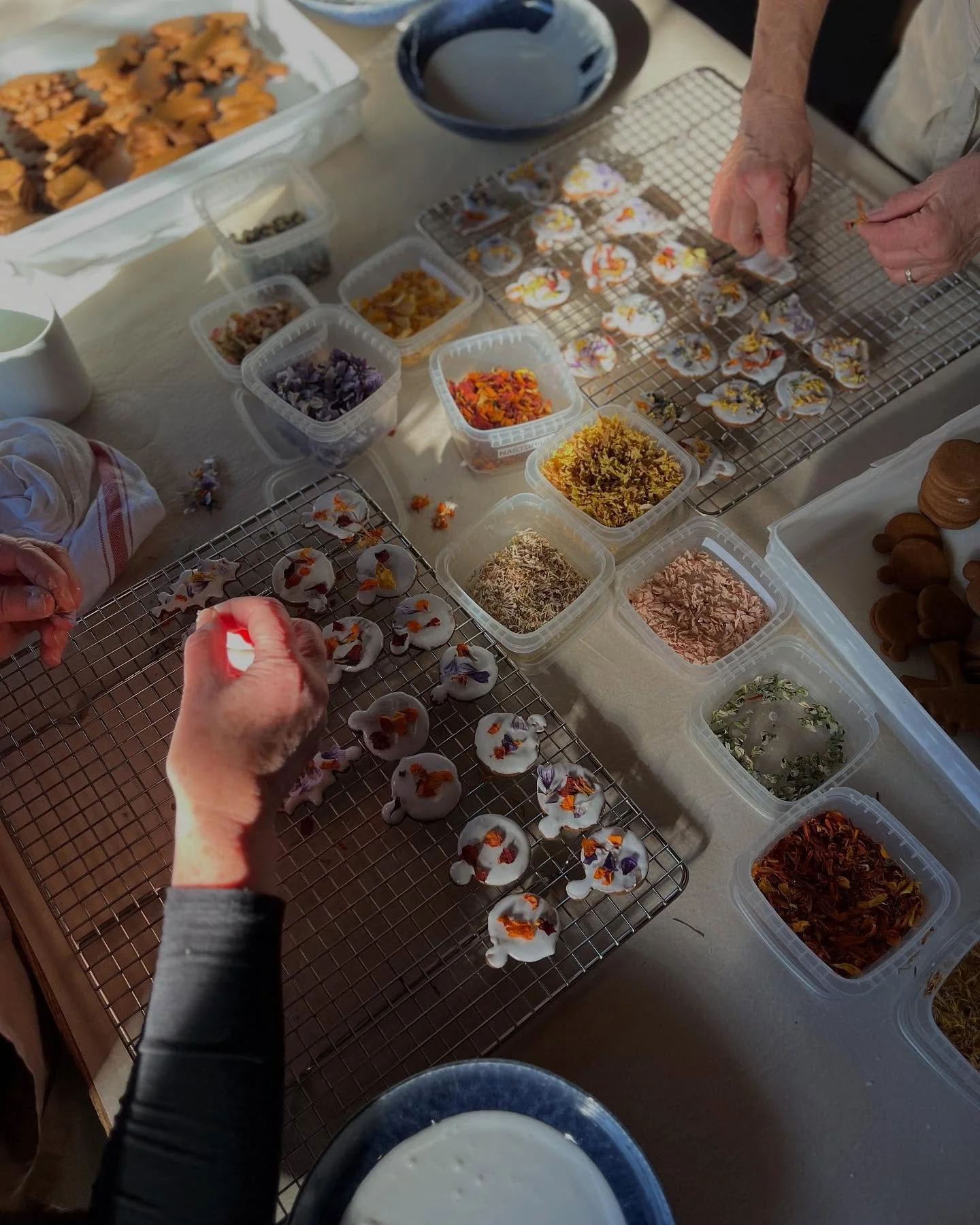 Non-profits thrive on generosity, and the most valuable gift of all is time.

As we prepare for our upcoming Culinary Volunteer Days, we invite you to lend your hands and heart to help us serve our community. Your time nourishes more than meals.

Int