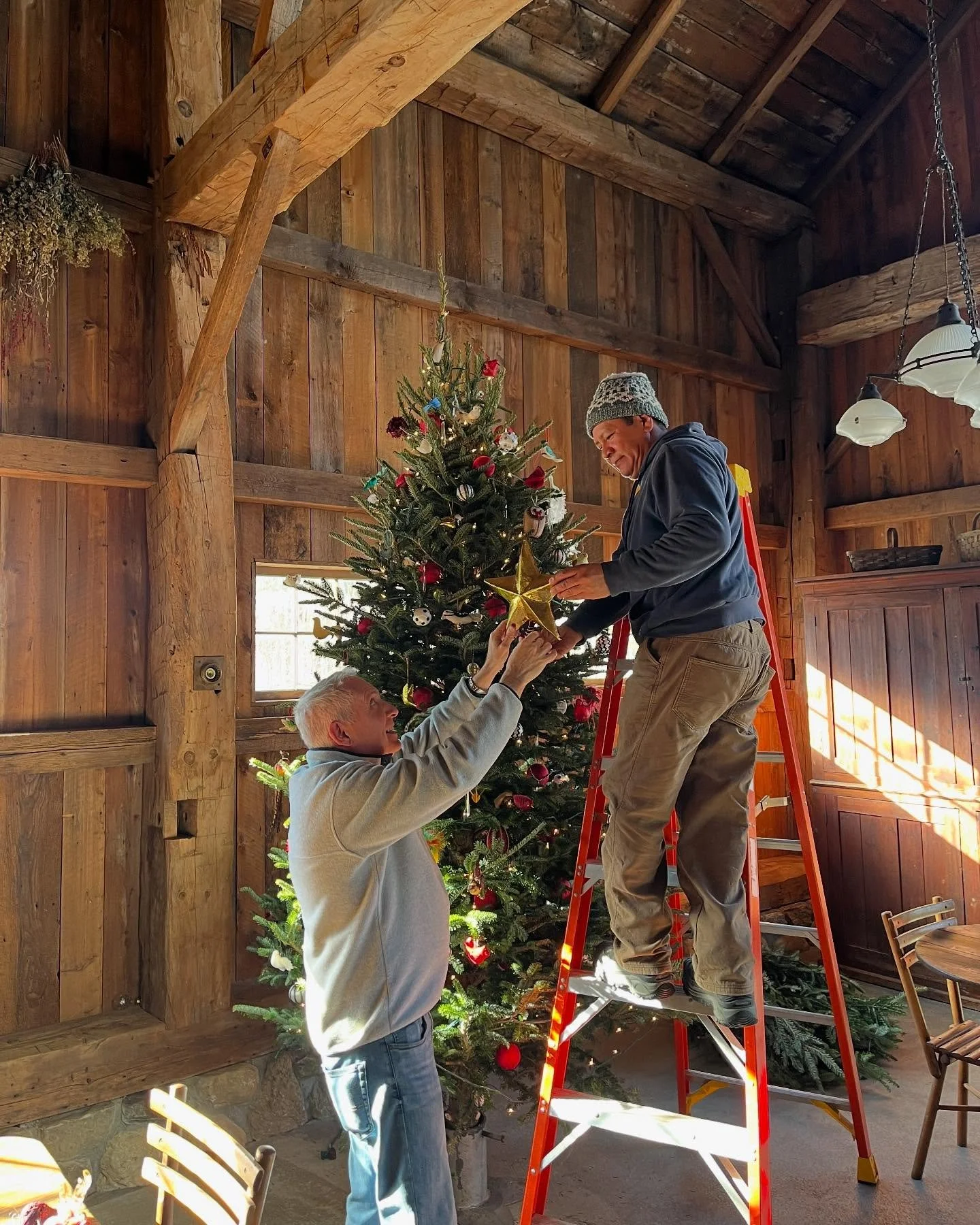 Our Christmas tree, sourced from Kent Greenhouse &amp; Garden, stands as a quiet celebration of togetherness. Draped in rescued chandelier crystals and bird ornaments collected by Stonewood Founders, Ken and Tom, over many years, it reflects how beau