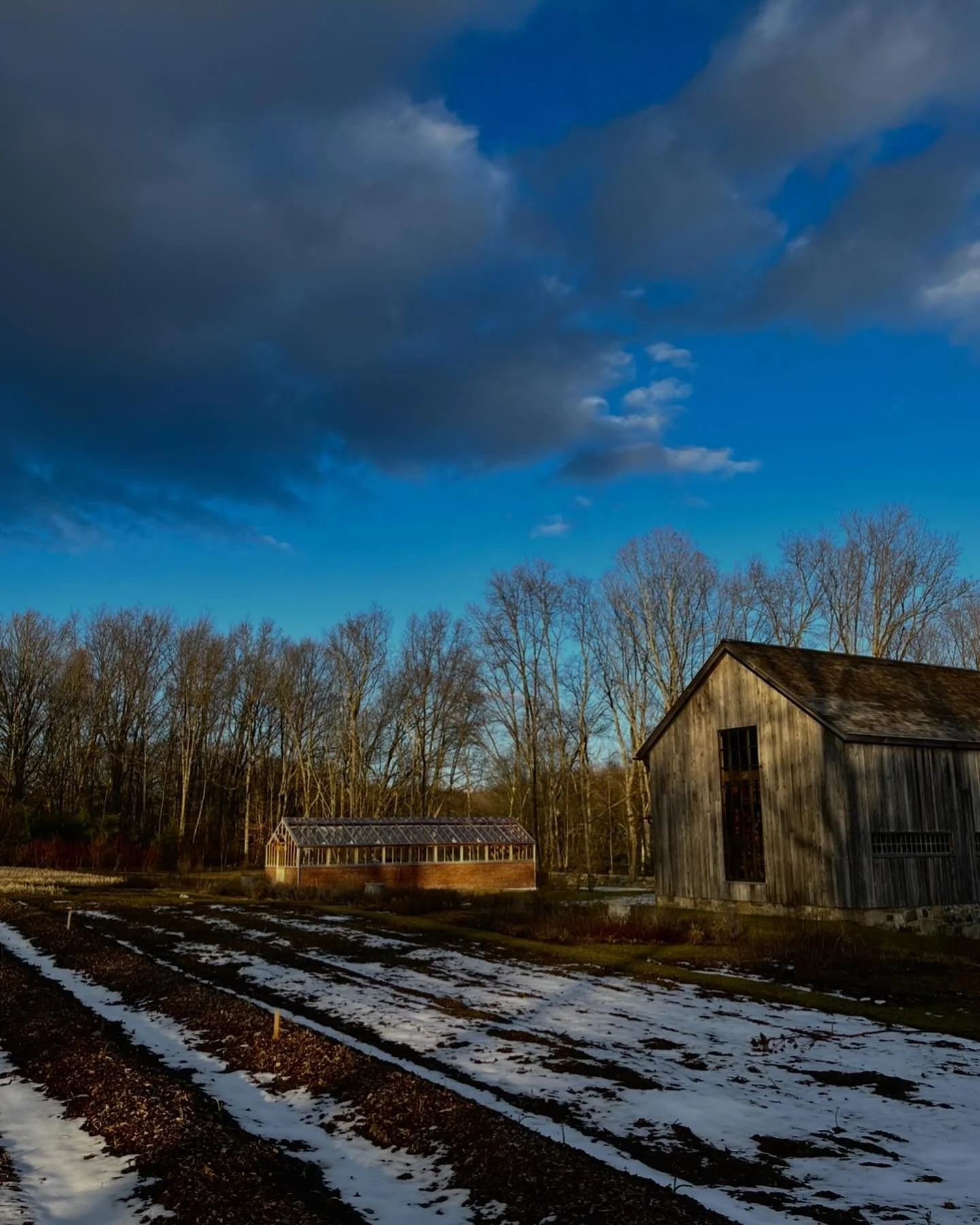 Thanks to our wonderful supporters, our end of year appeal was a tremendous success, raising over $80,000. These funds allow us to continue to address local food insecurity; grow organic, nutritionally dense produce; and train the next generation of 