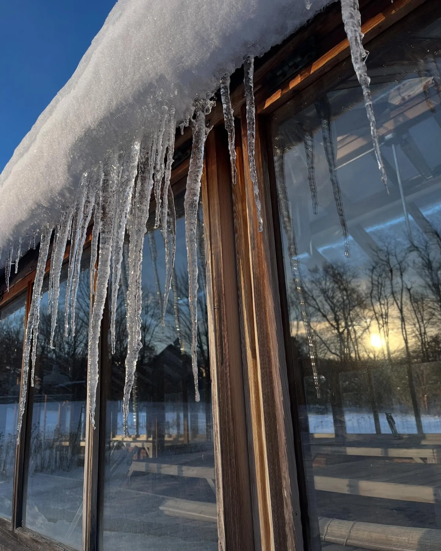 Stay safe, stay warm and think of warmer times ahead.

#nonprofitfarm #letthesunshine