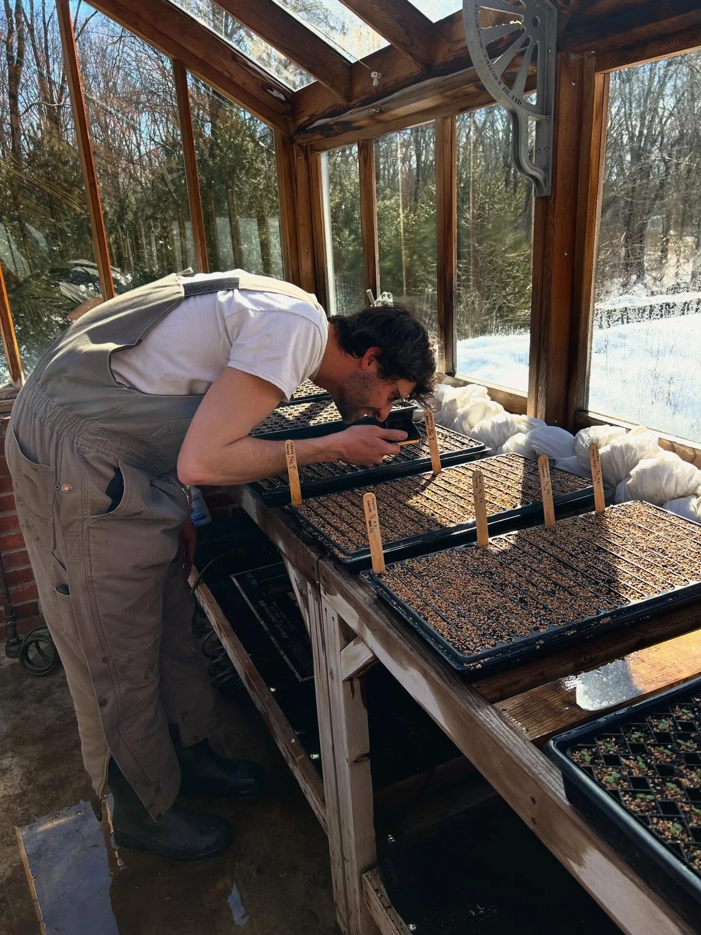 While winter lingers outside, the greenhouse is full of quiet momentum. Lex is checking germination rates on the latest trays of seeds, watching closely as the first signs of life push through the soil. It&rsquo;s a small but important moment, proof 