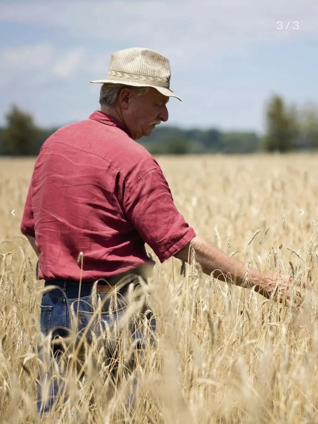 This spring, we will gather with three extraordinary Hudson Valley partners for this season&rsquo;s Saturday Suppers at Stonewood Farm. Don Lewis of Wild Hive Community Grain Project; Elana Carlson of Fantzye Bagels (currently sold out); and Daniel K
