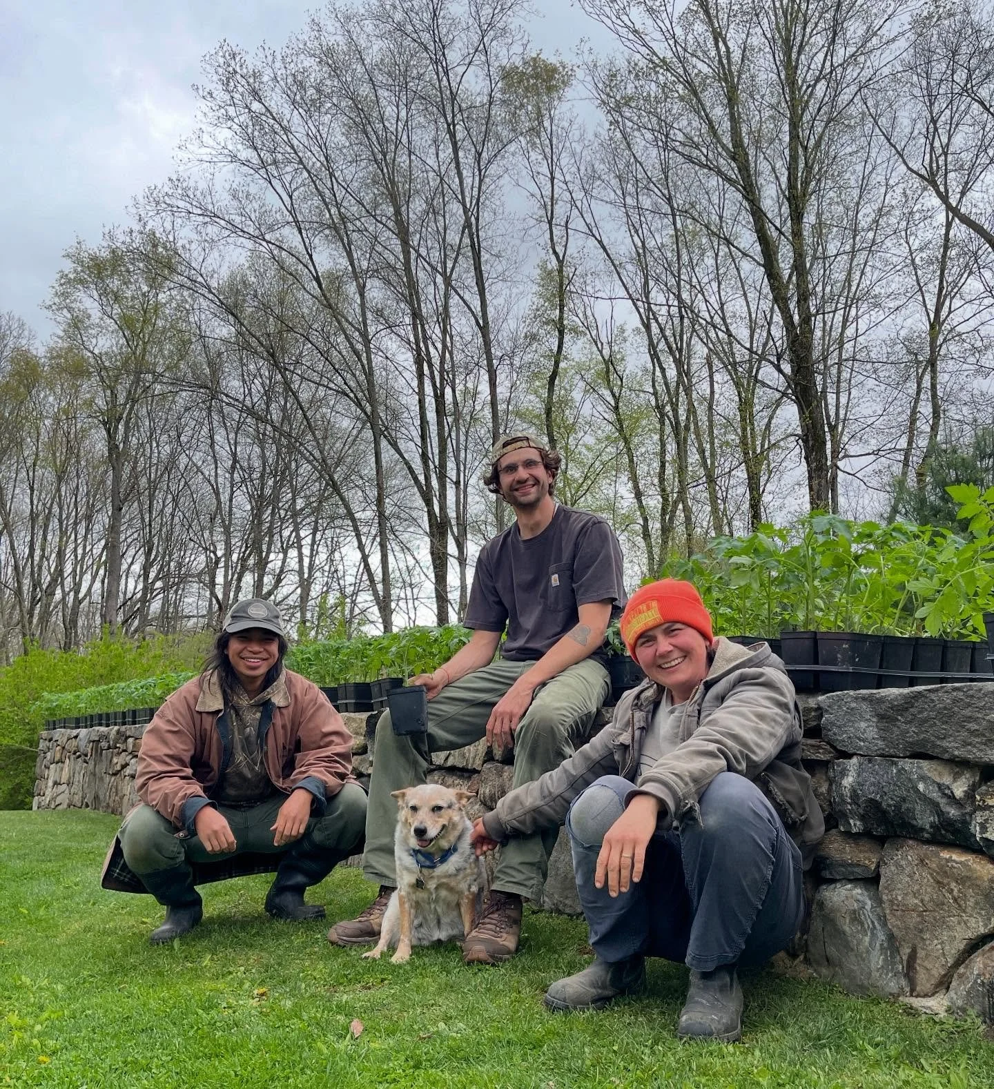 Join us tomorrow, May 2, from 9 am to 1 pm for our annual starter plant sale! Our 2026 Farm Team, Maggie, Lex and Jacob, have grown thousands of organic, non GMO plants ready for your garden. They will also have first of the season, freshly harvested