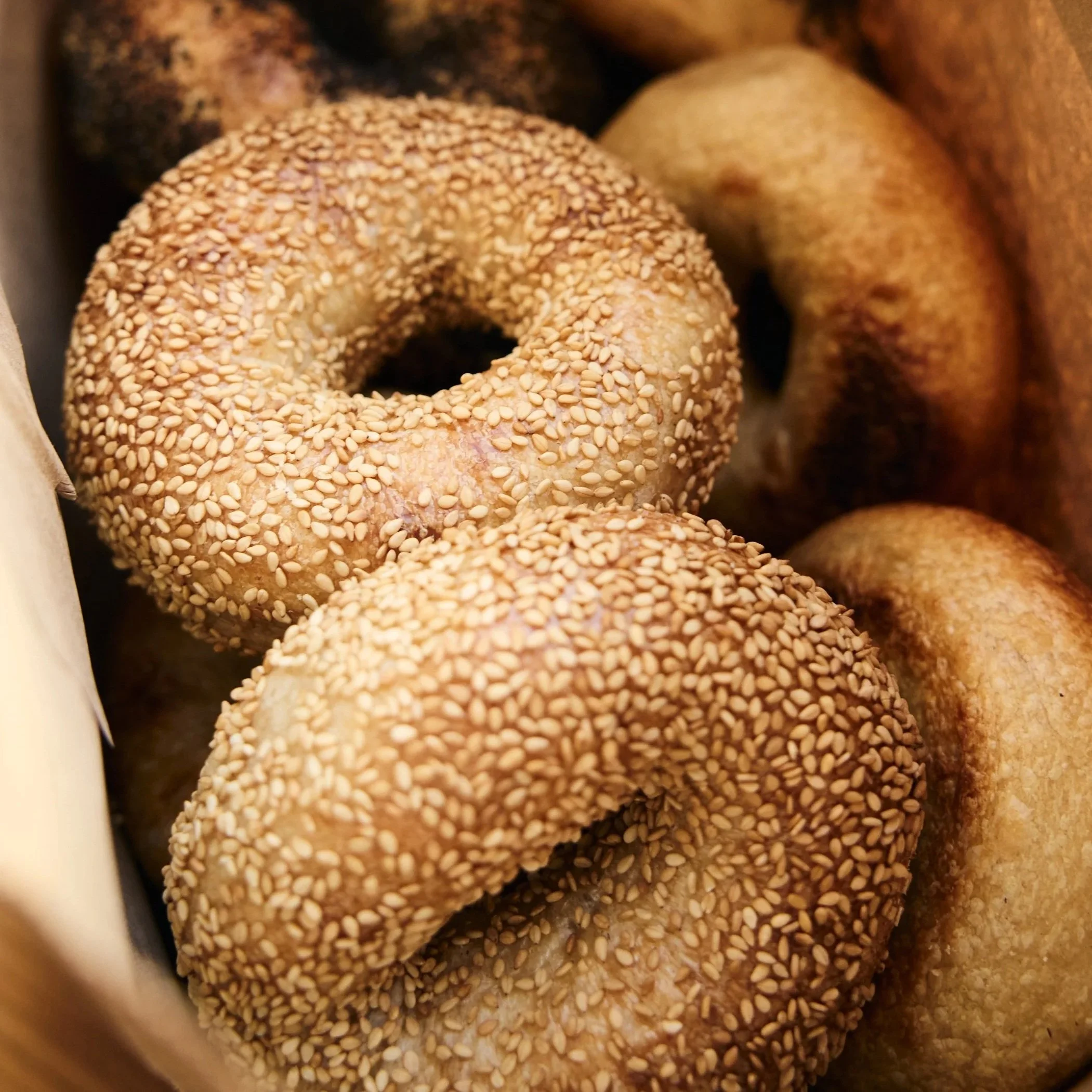 Fantzye_Bagels_4947.jpg
