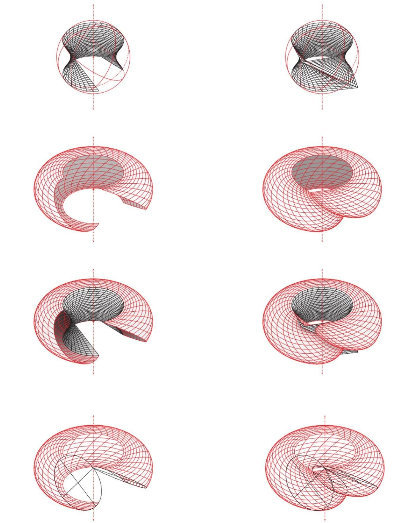 Inversions / hyperbolic and toroidal surfaces