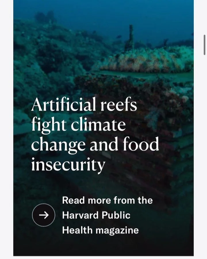 Climate Solutions initiatives at Harvard University. Thank you for featuring the CloudHouse Shade Structure @harvard , and for the original feature @harvardgsd by Celine Nguyen @doublepluslovely @cddat344 @projectif.space @i.fayyad 

Learn more about