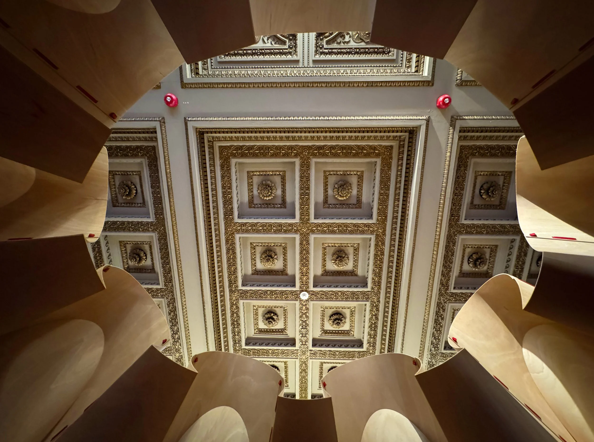 Photo Sep 20 2025, 11 54 59 AM_edited.jpg