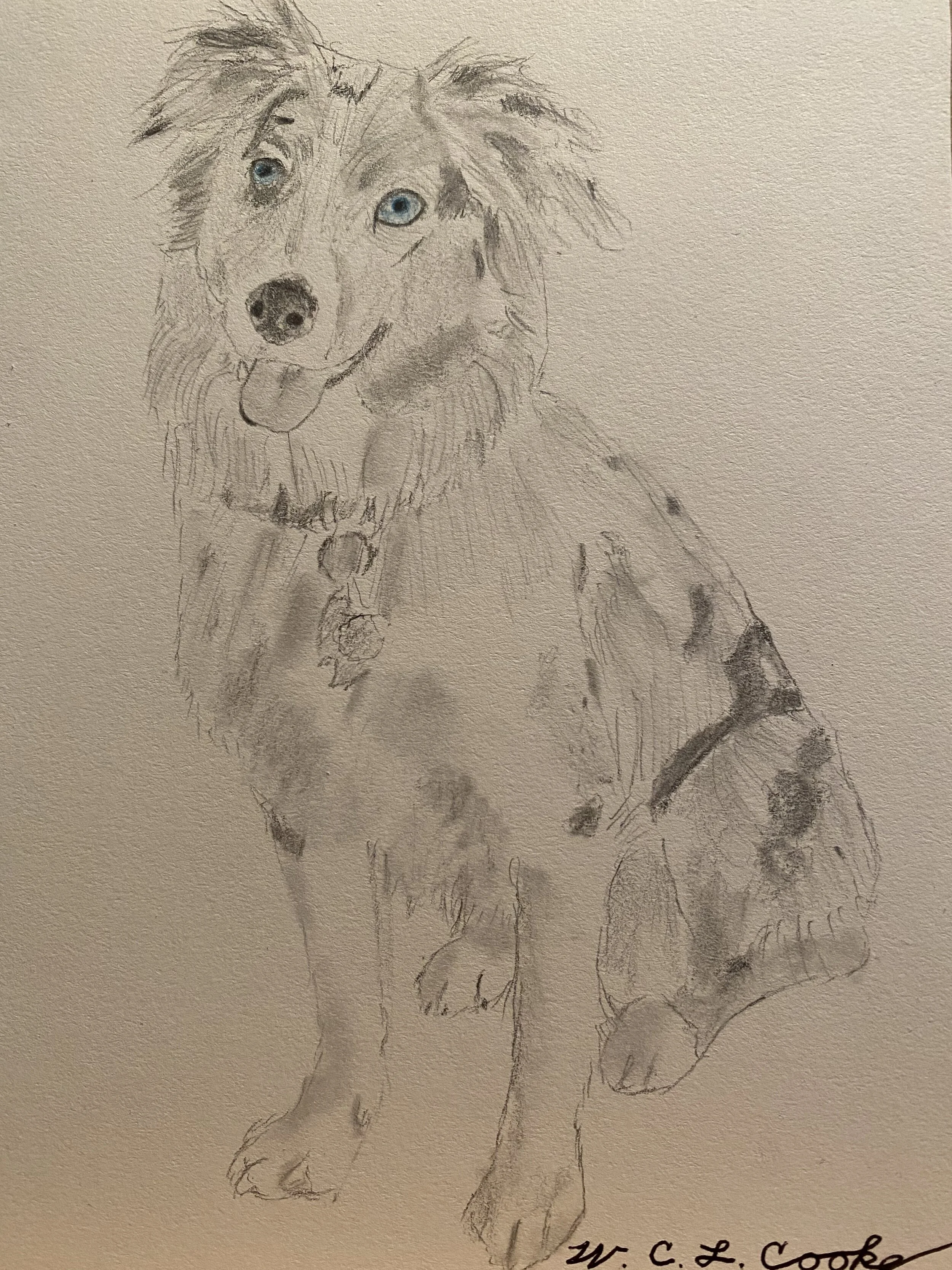 Addie - drawing