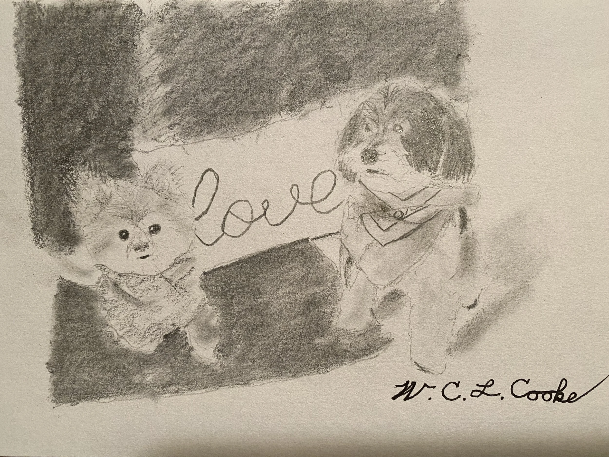 Cookie & Georgie - drawing