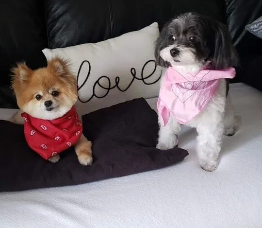 Cookie & Georgie - original