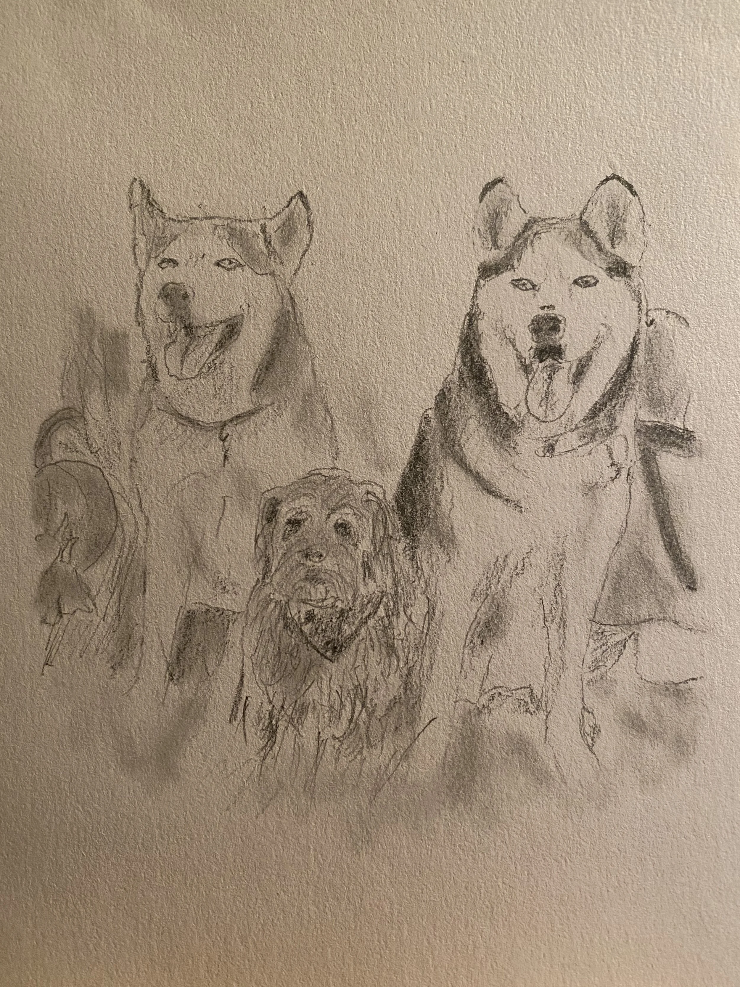 Nami, Toby, & Luffy - drawing