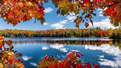 Fall Beauty &amp; lifestyle 
