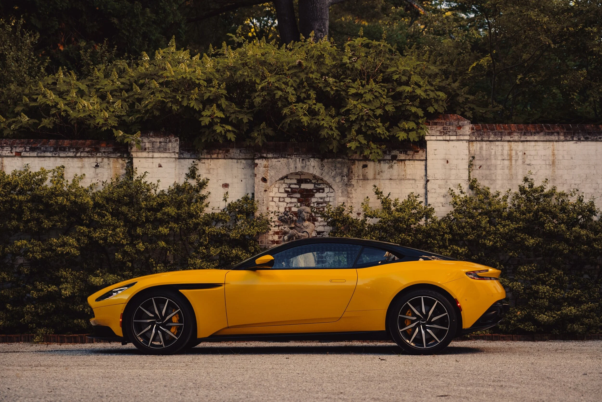 DB11_Profile_Garden_Wide.jpeg