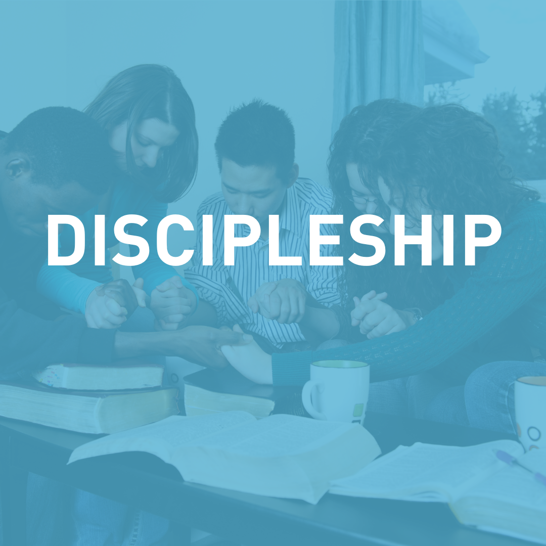 NEXT STEPS (WEB)-12.png