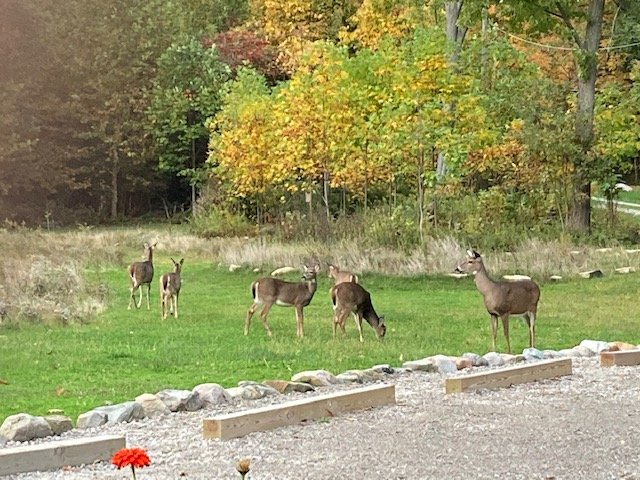 IMG_1401.jpg