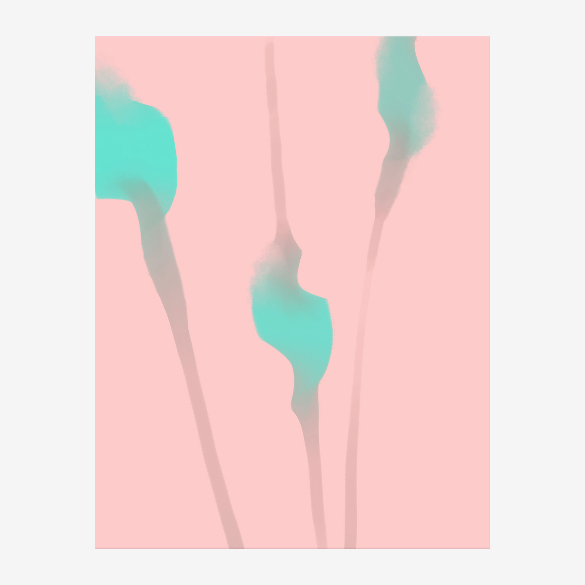 border_p_4.jpg