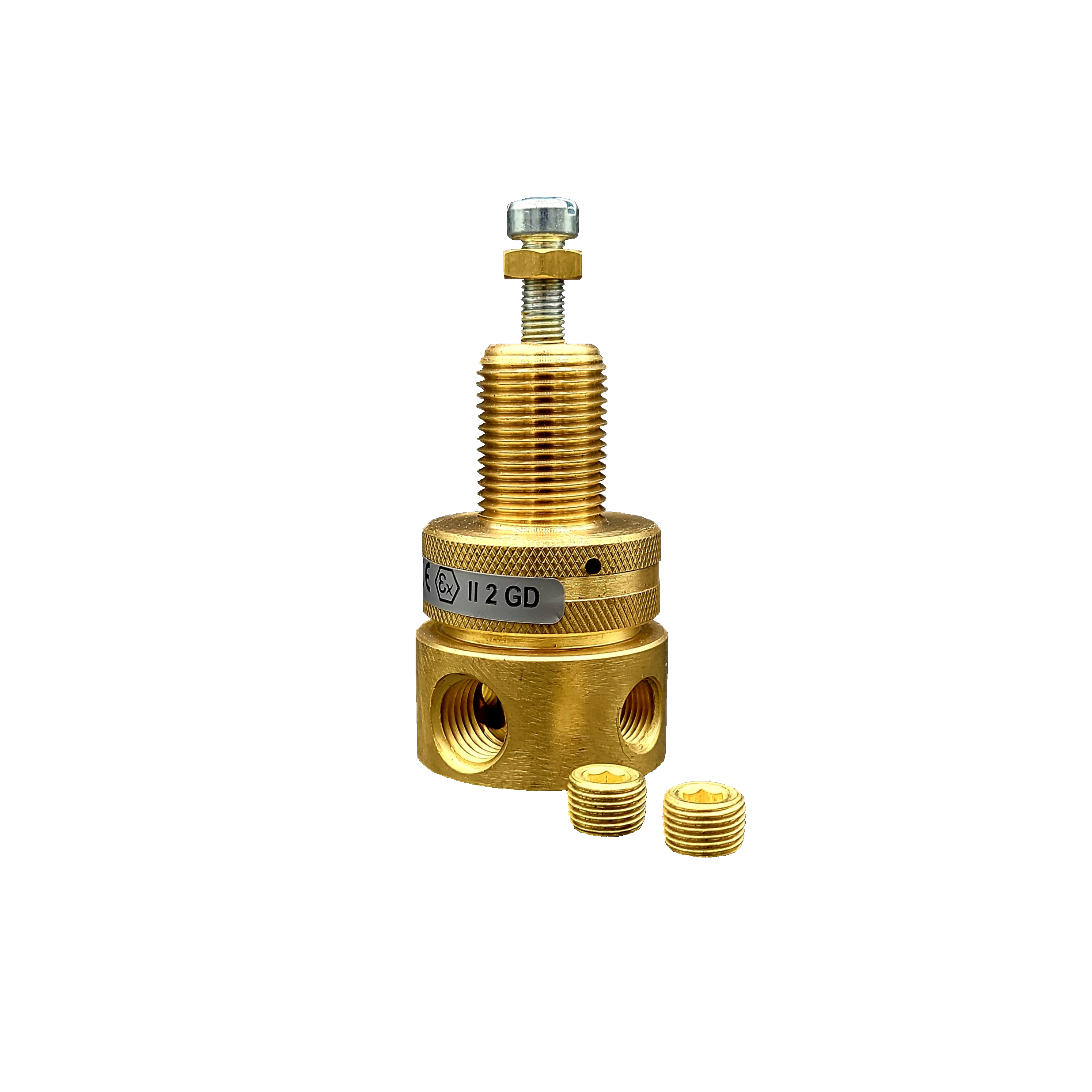 Multi-Purpose Regulator for firelake, universal-parts, supreme-heat, R06-222-NNAA