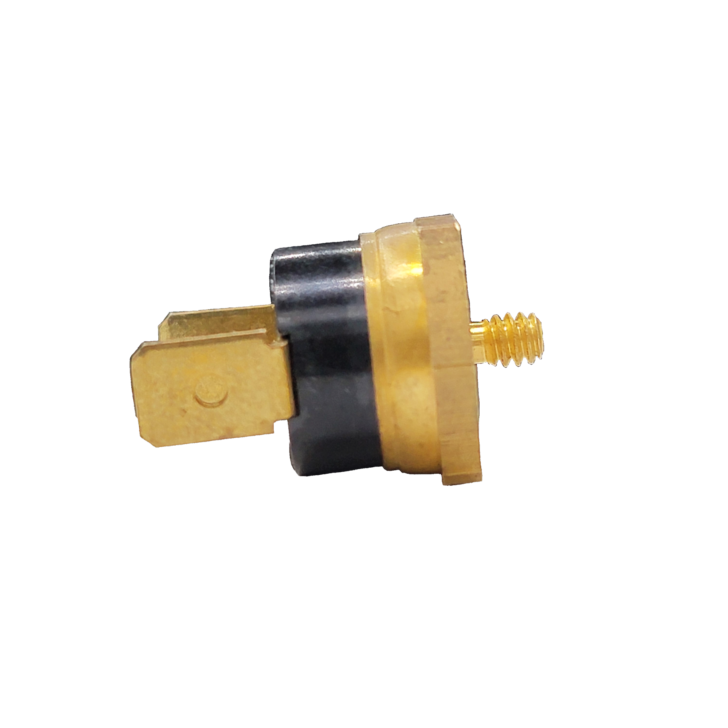 CleanBurn Temp Proving Switch 33041
