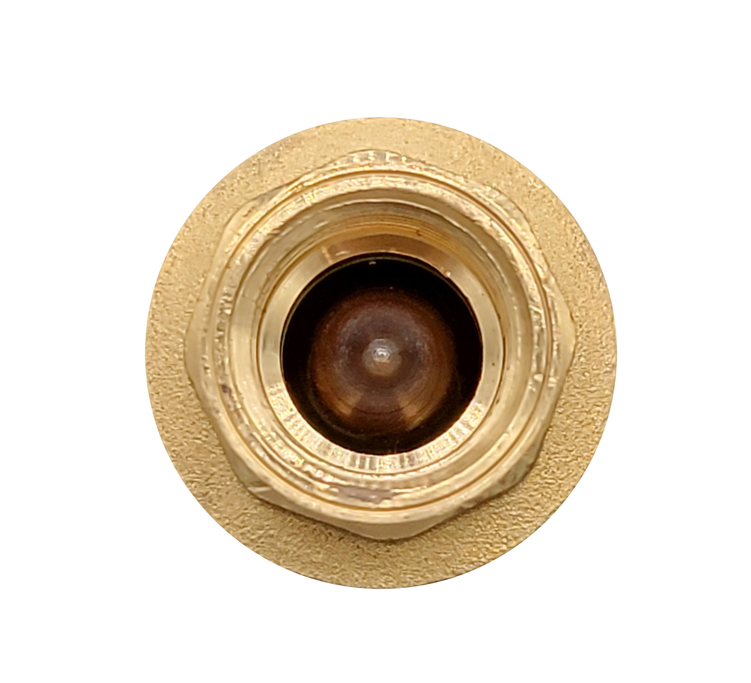 .5+Check+Valve+2+Clear.png