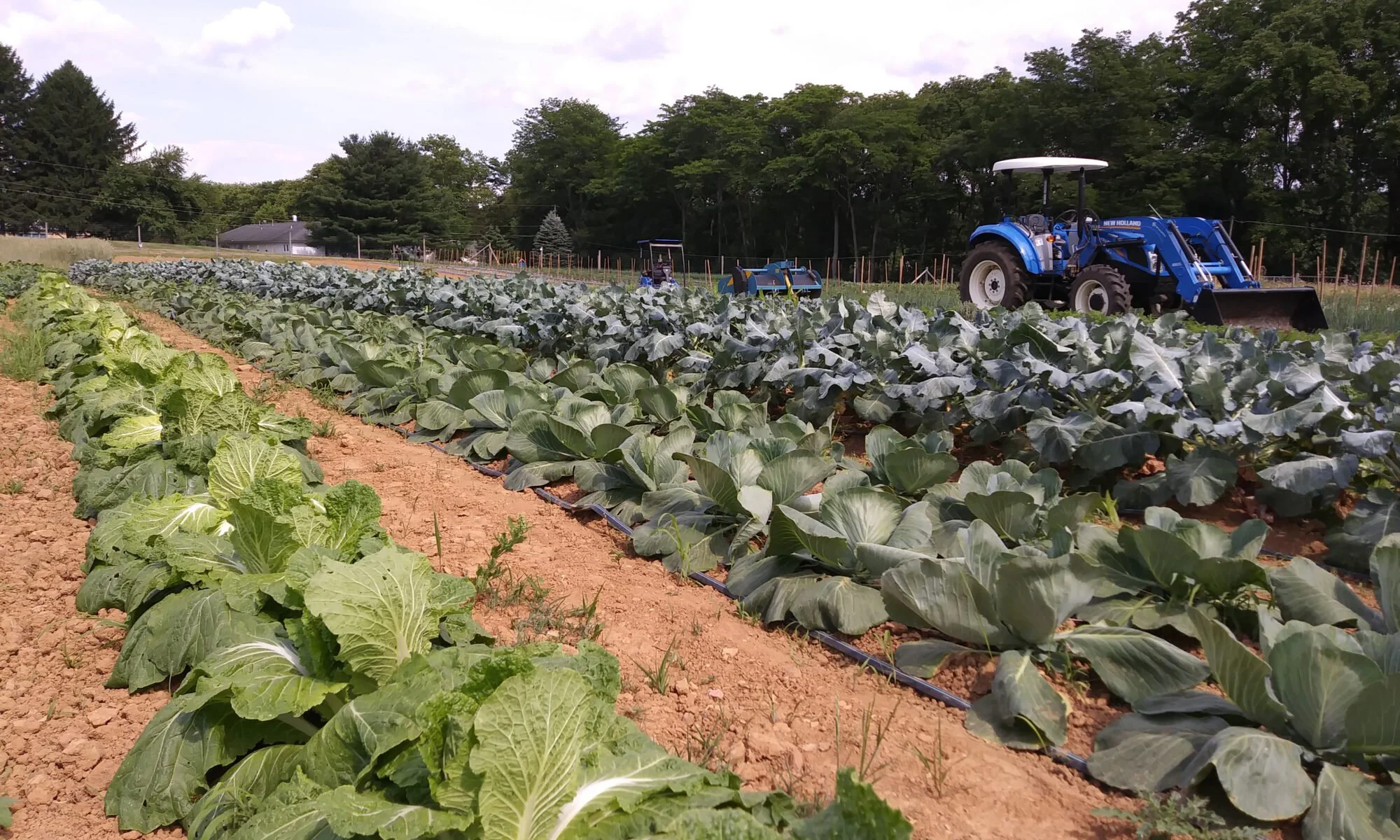 veggies-and-tractor-6-26-18-2000x1200.jpg