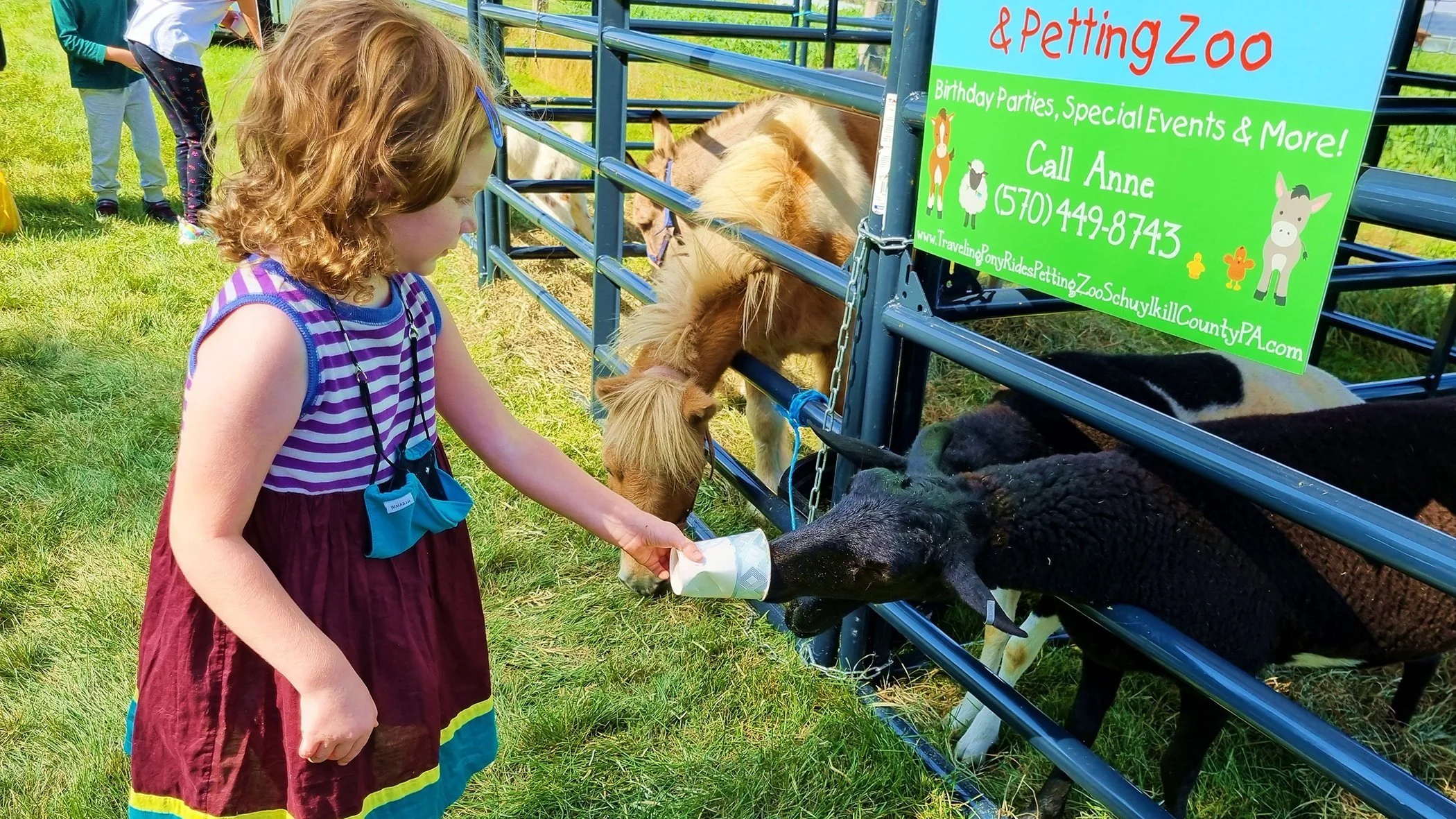 2022 Monocacy Farm Food Festival — Monocacy Farm Project