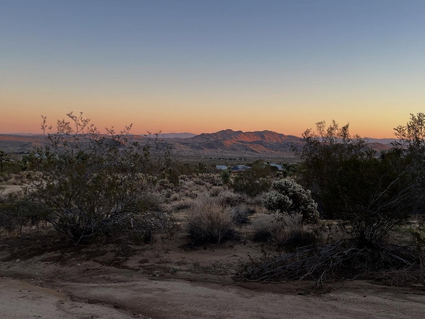 An awe inspiring transformative intuition art retreat in Joshua Tree with an amazing group of women! ✨Feeling deep gratitude for this experience. Joshua Tree is a magical place and the desert is calling me back soon. #artasmindfulness #artasmagic #ar